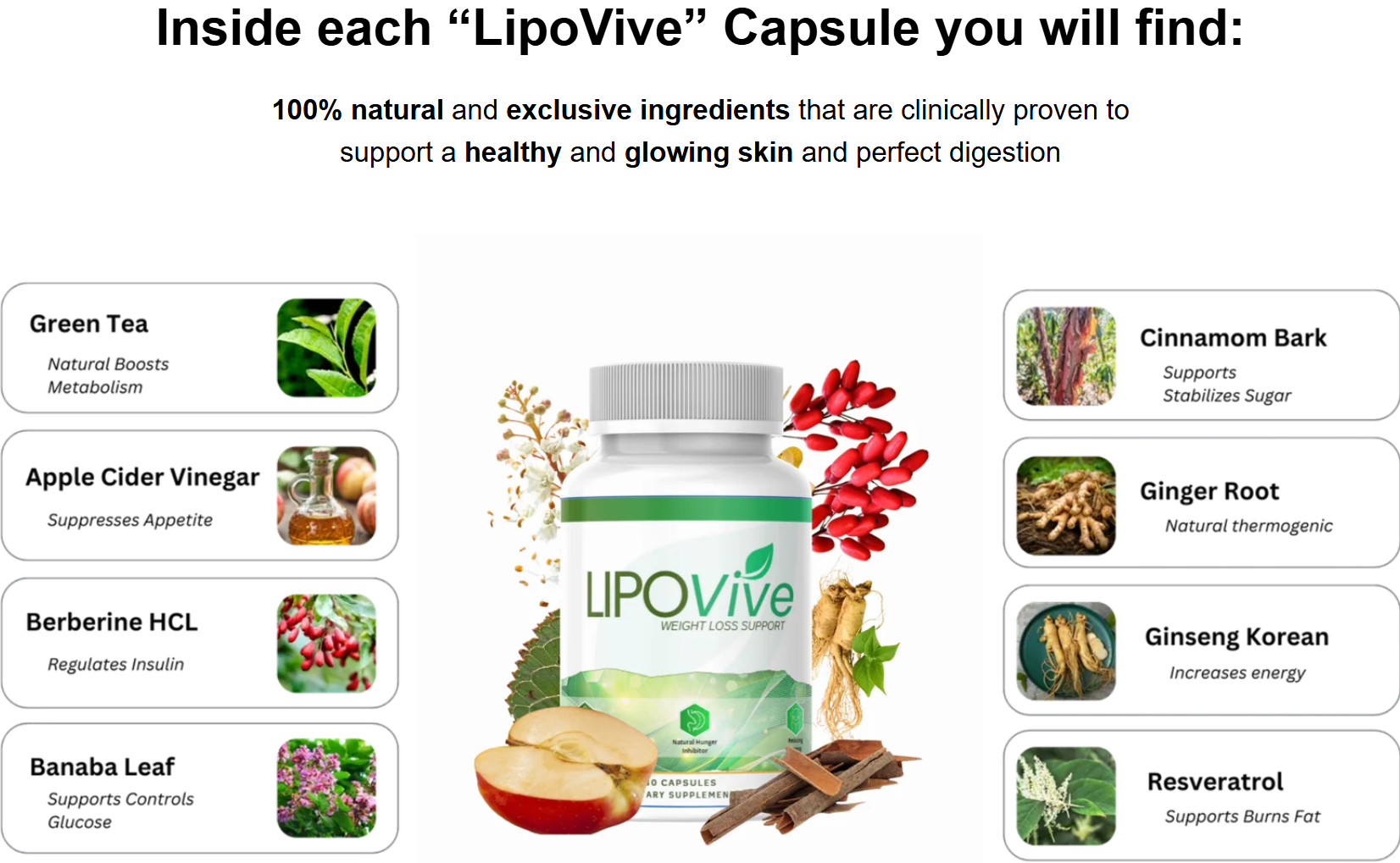 LipoVive