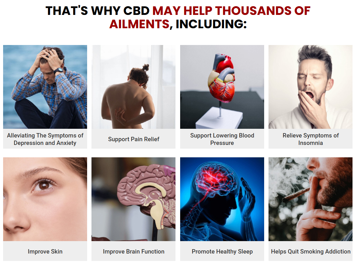 Lusch Labs CBD Gummies